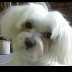 Sitter Profile Image: Wendy P.