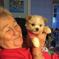 Sitter Profile Image: Rose D.