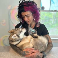 Sitter Profile Image: Kristyn M.