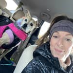 Sitter Profile Image: Cat T.