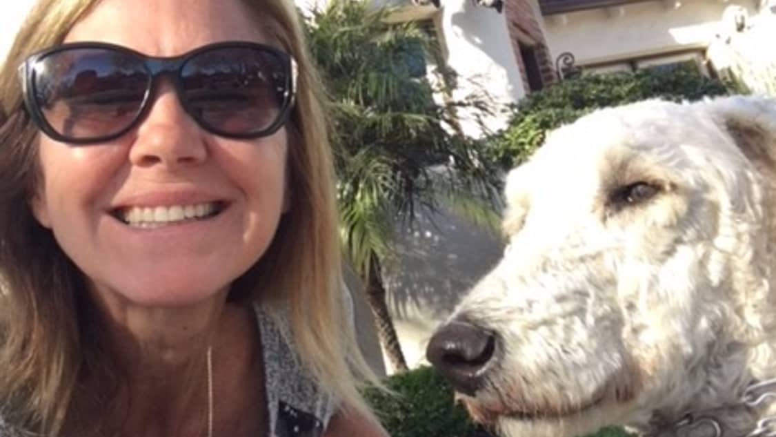 Best Dog Boarding In Sonoma Ca Rover Com