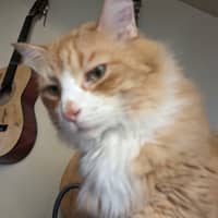 Sitter Profile Image: Sue C.