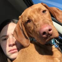 Sitter Profile Image: Mackenzie V.