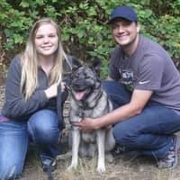 Sitter Profile Image: Sarah L.