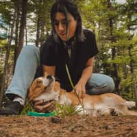 Sitter Profile Image: Rosemary M.