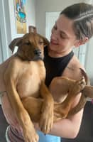 Sitter Profile Image: Alexis S.