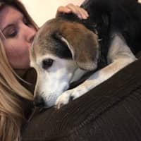 Sitter Profile Image: Rebecca K.