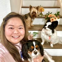 Sitter Profile Image: Jarenn N.