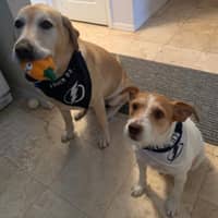 Sitter Profile Image: Jennifer C.