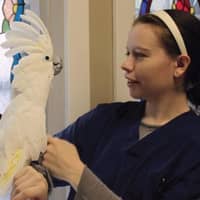 Sitter Profile Image: Michele M.