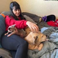 Sitter Profile Image: Jessica S.