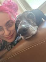 Sitter Profile Image: Haley M.