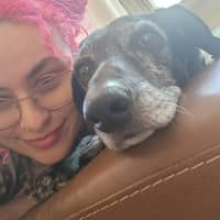 Sitter Profile Image: Haley M.