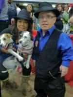 Sitter Profile Image: Jill A.