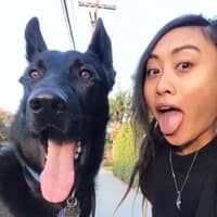 Sitter Profile Image: Cathryn F.