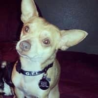 Sitter Profile Image: Marcos E.