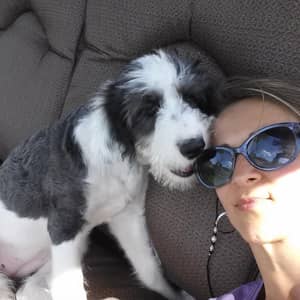 Sitter Profile Image: Sabina S.