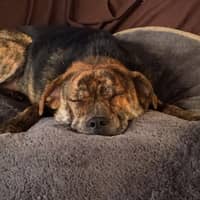 Sitter Profile Image: Marci U.