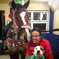 Sitter Profile Image: Kaitlyn B.