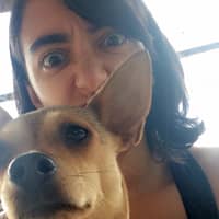 Sitter Profile Image: Stephanie S.