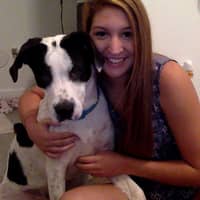 Sitter Profile Image: Chrissy H.