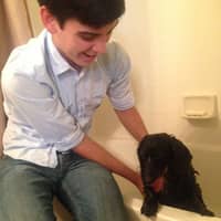 Sitter Profile Image: Luciano B.