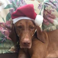 Sitter Profile Image: Jennifer L.