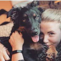 Sitter Profile Image: Jessica R.