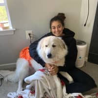 Sitter Profile Image: Nina C.