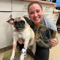 Sitter Profile Image: Megan M.