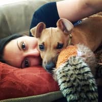 Sitter Profile Image: Siarah C.