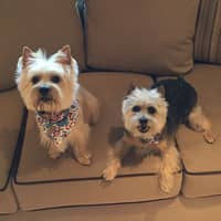 Sitter Profile Image: Aaron S.