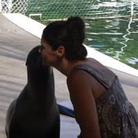 Sitter Profile Image: Lili P.