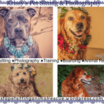 Sitter Profile Image: Krista M.