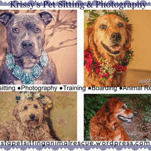 Sitter Profile Image: Krista M.