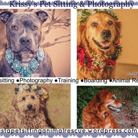 Sitter Profile Image: Krista M.