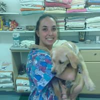 Sitter Profile Image: Lynn P.