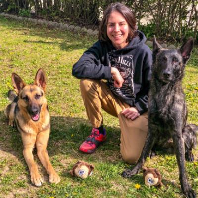 kirstie's dog walking service