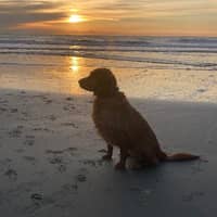 Sitter Profile Image: Stephanie W.