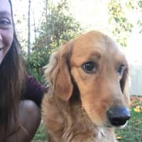 Sitter Profile Image: Mary-Elizabeth S.