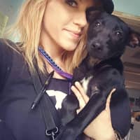 Sitter Profile Image: kelly c.