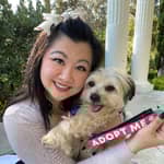 Sitter Profile Image: Amy C.