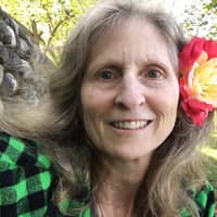 Sitter Profile Image: Lisa Y.