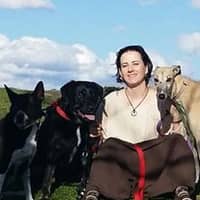 Sitter Profile Image: Jer O.