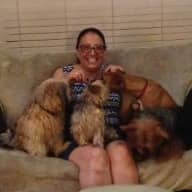 Sitter Profile Image: Sheryl F.