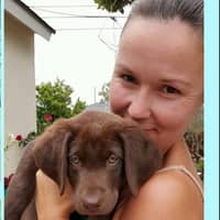 Sitter Profile Image: Iryna T.