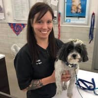 Sitter Profile Image: Kathryn S.