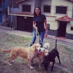 Sitter Profile Image: Nimzay M.