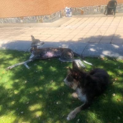 Sitter Profile Image: Marina C.