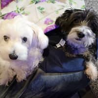 Foto del cuidador: Juan P.